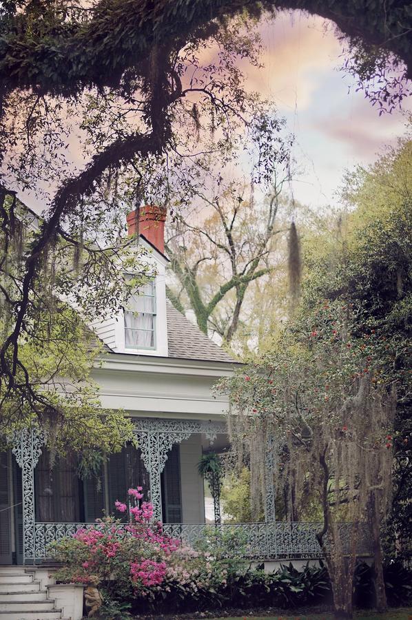 The Myrtles Saint Francisville Exterior foto